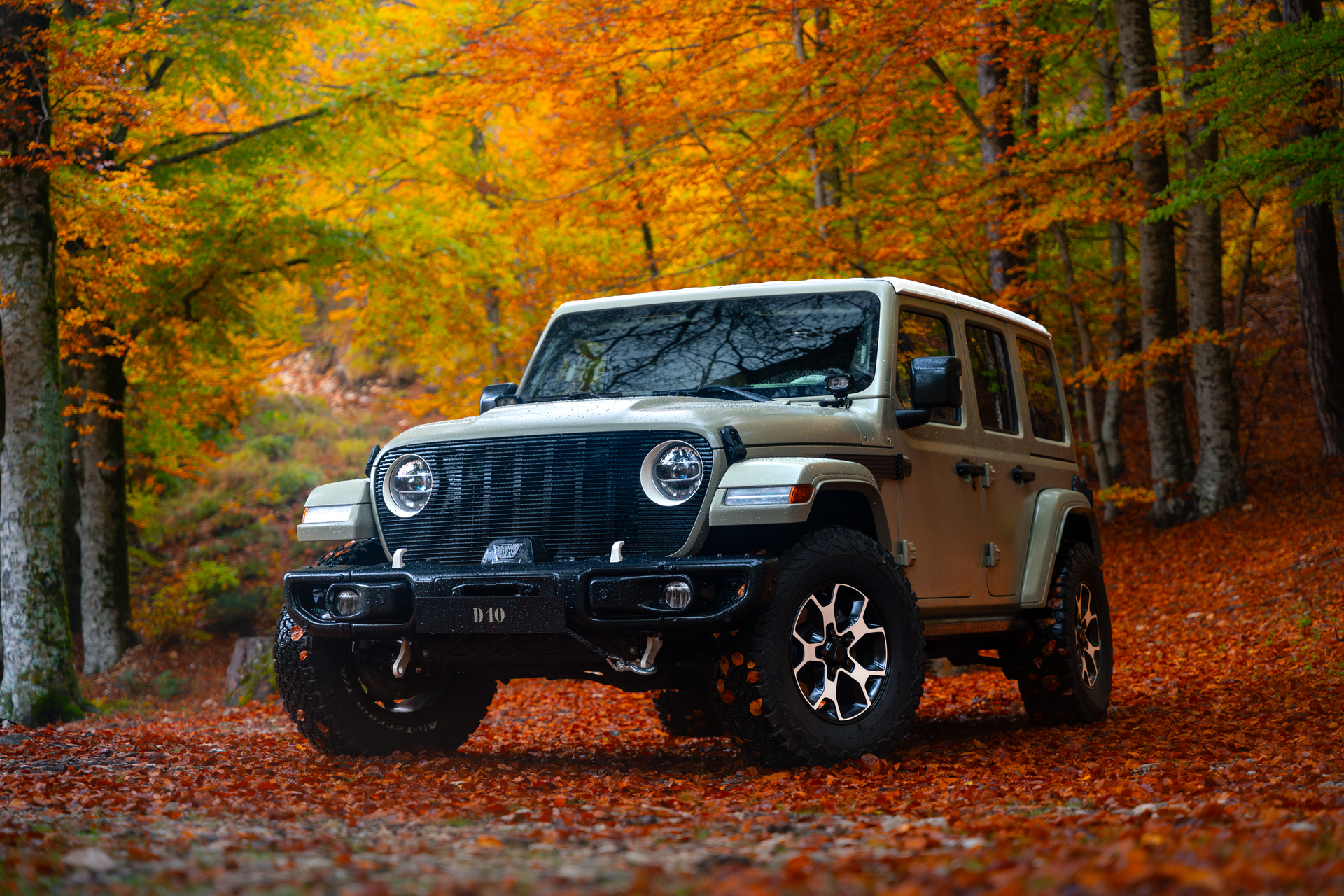 Jeep D10 Tribute Green